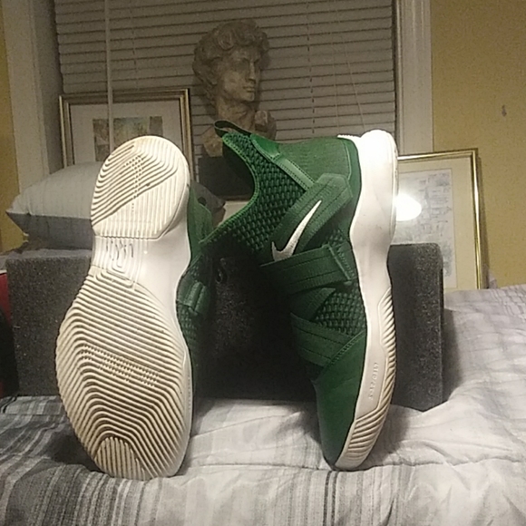 Labrons - Picture 2 of 2